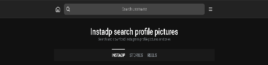 download instagram profile picture in its original quality